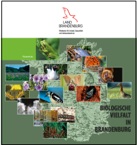 Bild vergrößern (Bild: Titelblatt biodiv_inbb)