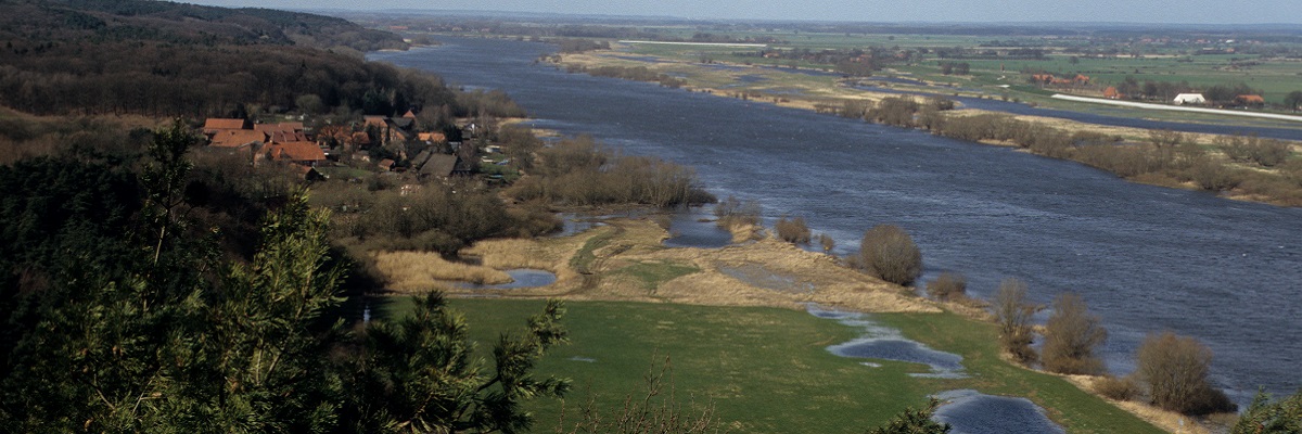 Blick auf die Elbe im Biosphärenreservat Elbtaue Brandenburg