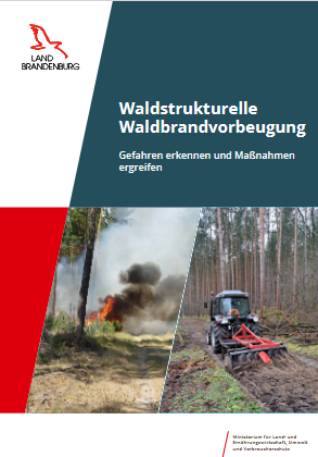 Bild vergrößern (Bild: Titelblatt Waldstrukturelle Waldbrandvorbeugung)