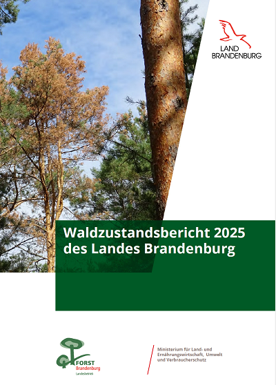 Bild vergrößern (Bild: Titelblatt Waldzustandsbericht 2025 des Landes Brandenburg )