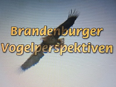 Bild vergrößern (Bild: Titel Film Brandenburger Vogelwelten)