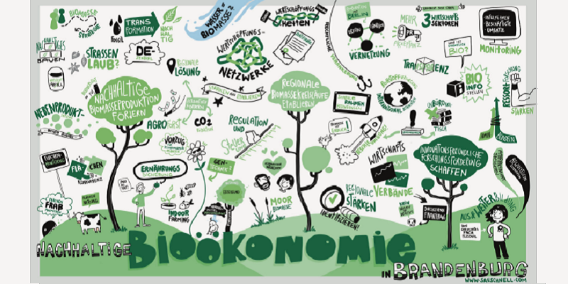 Graphics für nachhaltige Bioökonomie in Brandenburg - Verschiedene Elemente und Sprechblasen