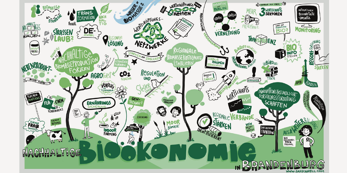 Bild: Graphics für nachhaltige Bioökonomie in Brandenburg - Verschiedene Elemente und Sprechblasen
