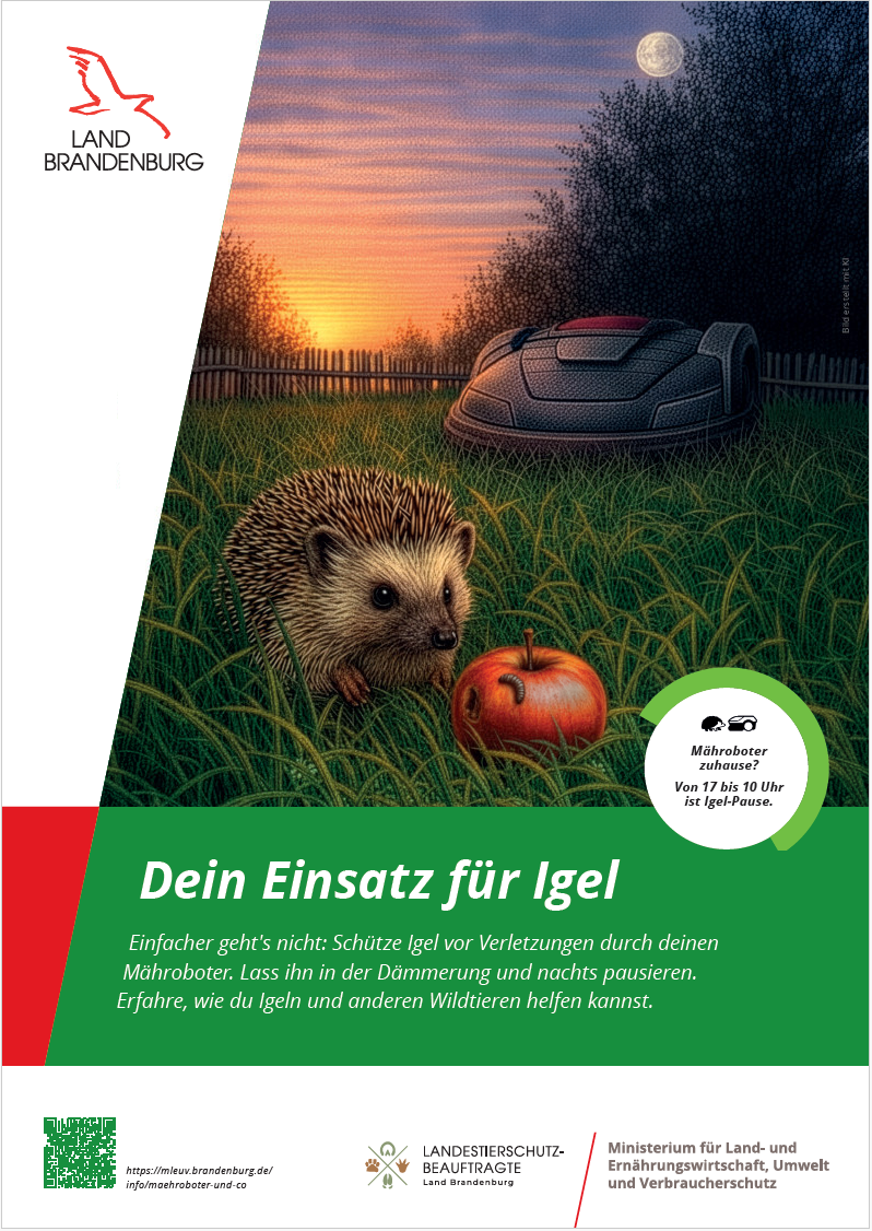 Plakat Dein Einsatz für den Igel