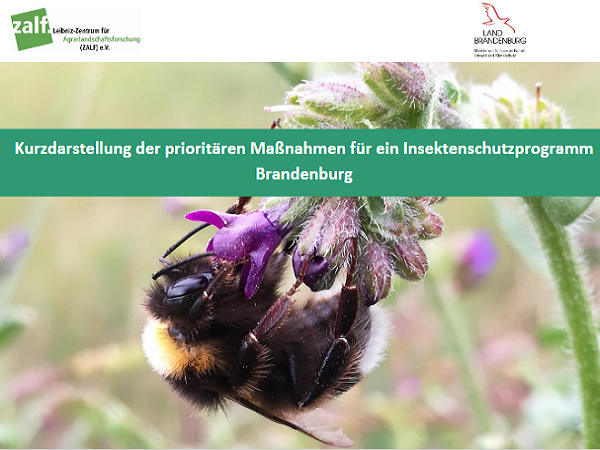 Titelblatt Maßnahmenkatalog Insektenschutz