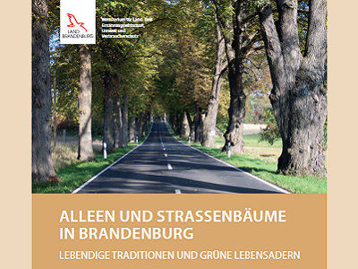 Cover Broschüre Alleen und Straßenbäume - Bildmotiv von Jürgen Peters.
