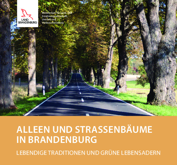 Bild vergrößern (Bild: Alleen und Straßenbäume in Brandenburg)