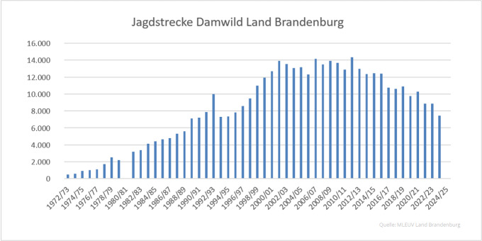 Balkendiagramm der Jagdstrecken Dawild im Land Brandenburg 1972 bis 2025 (Quelle: MLEUV Land Brandenburg)