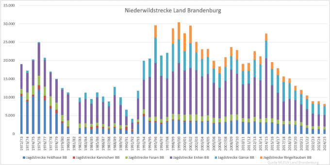 Balkendiagramm: Jagdstrecken Niederwild im Land Brandenburg 1972 bis 2025 (Quelle: MLEUV Land Brandenburg)