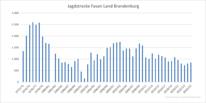 Balkendiagramm der Jagdstrecken Fasan im Land Brandenburg 1972 bis 2025 (Quelle: MLEUV Land Brandenburg)