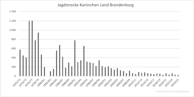Balkendiagramm der Jagdstrecken Kaninchen im Land Brandenburg 1972 bis 2025 (Quelle: MLEUV Land Brandenburg)