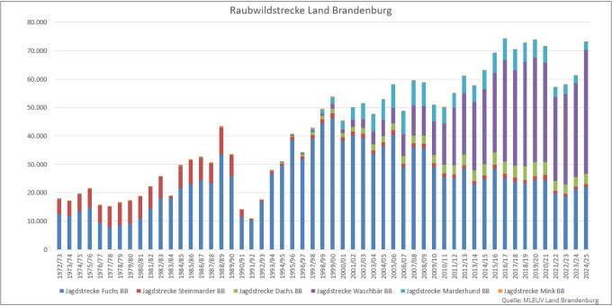 Balkendiagramm: Jagdstrecken Raubwild im Land Brandenburg 1972 bis 2025 (Quelle: MLEUV Land Brandenburg)