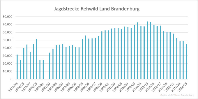 Balkendiagramm der Jagdstrecken Rehwild im Land Brandenburg 1972 bis 2025 (Quelle: MLEUV Land Brandenburg)