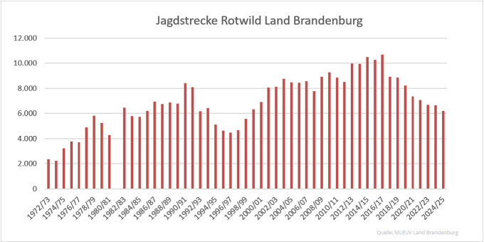 Balkendiagramm der Jagdstrecken Rohwild im Land Brandenburg 1972 bis 2025 (Quelle: MLEUV Land Brandenburg)