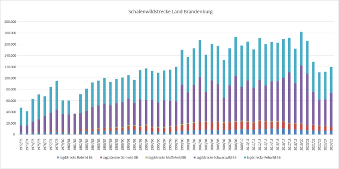 Balkendiagramm der Jagdstrecken Schalenwild im Land Brandenburg 1972 bis 2025