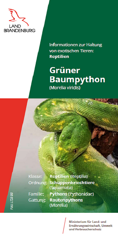 Bild vergrößern (Bild: Titel Flyer Baumpython)