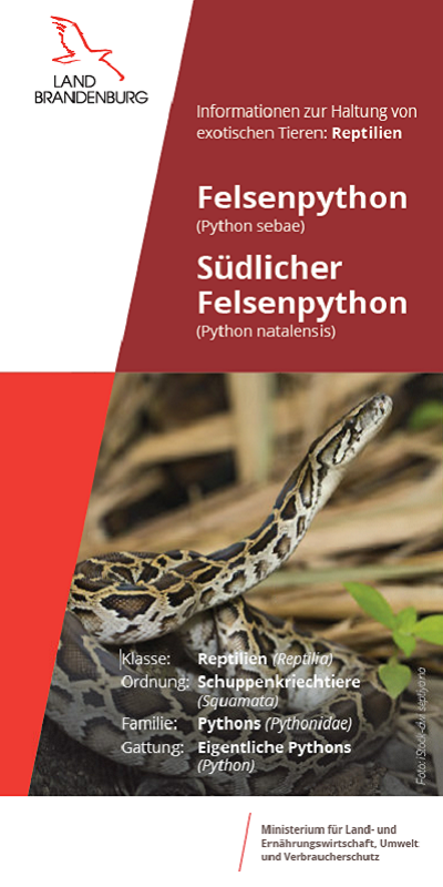 Bild vergrößern (Bild: Titel Flyer Felsenpython)