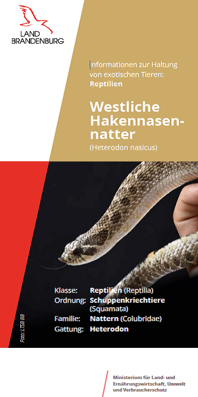 Bild vergrößern (Bild: Titel Flyer Hakennasennatter)