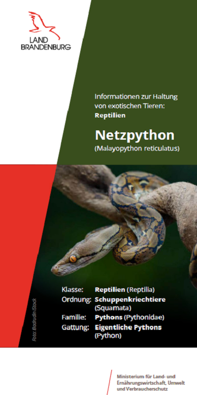 Bild vergrößern (Bild: Titel Flyer Netzpython)