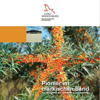 Bild vergrößern (Bild: Titelblatt Pionier im märkischen Sand ...)