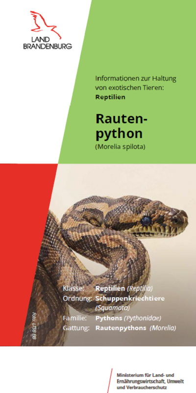 Bild vergrößern (Bild: Titel Flyer Rautenpython)