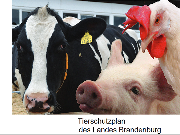 Ausschnitt Titelblatt Tierschutzplan Brandenburg