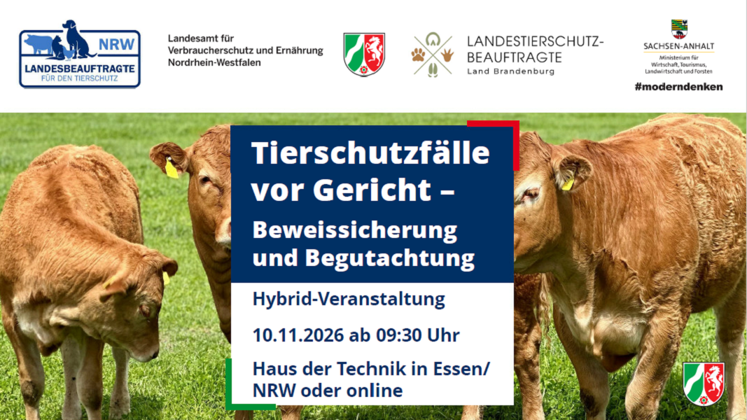 Tierschutzfälle vor Gericht 