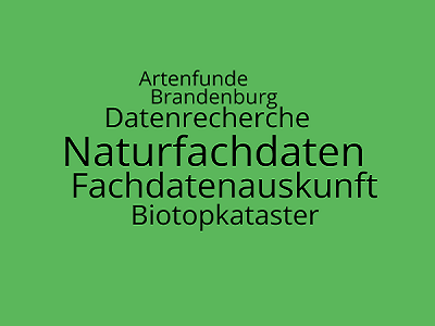 Wortwolke mit Begriffen: Naturschutzfachdaten, Biotopkartierung, Fachdatenauskunft, 