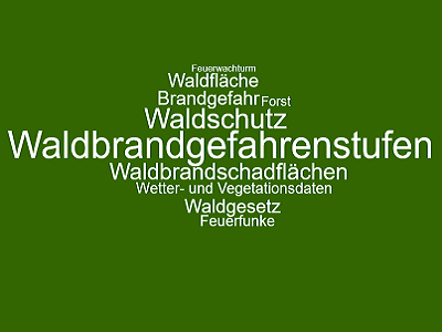 Wortwolke mit Begriffen: Waldbrandgefahrenstufen Waldschutz Waldbrandschadflächen Waldfläche Brandgefahr Waldgesetz Wetter- und Vegetationsdaten Feuerwachturm auf dunkelgrünem Hintergrund